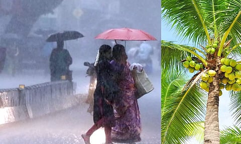 கோப்புபடம்.&nbsp;