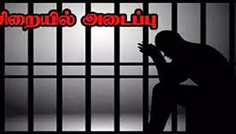 அரசு சின்னம், தேசிய கொடியுடன் காரில் வலம் வந்து கைதான 2 பேர் சிறையில் அடைப்பு