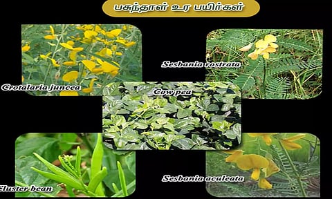 கோப்புபடம்.&nbsp;