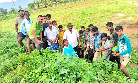 வெங்கடாம்பட்டி குளக்கரையில்  1,500 பனை விதைகள் விதைப்பு
