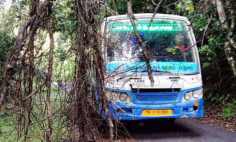 தடியன்குடிசை அருகே கனமழையால் மரத்தில் இருந்து கிளைகள் தொங்கி போக்குவரத்துக்கு இடையூறாக உள்ள காட்சி.