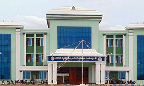 அரசு கல்லூரியில் மரக்கன்று நடும் விழா