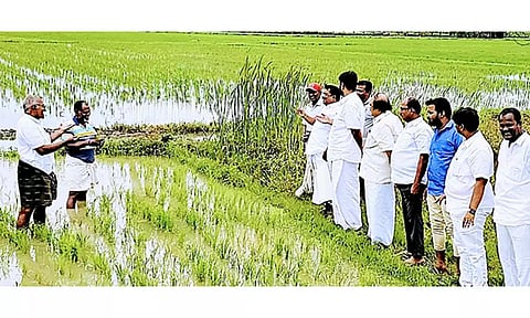 &nbsp;விவசாய நிலங்களை தி.மு.க. கட்சியின் சார்பில் சிவா எம்.எல்.ஏ. தலைமையில் பார்வையிட்ட காட்சி.&nbsp;