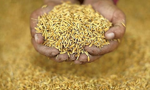 நெல்லுக்கான ஆதார விலையை உயர்த்த வேண்டும்