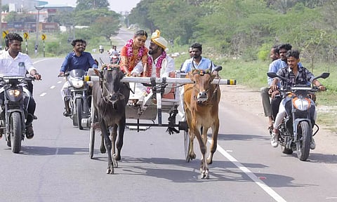 திருமண கோலத்தில் மாட்டு வண்டியில் ஊர்வலமாகச் சென்ற புதுமண தம்பதி