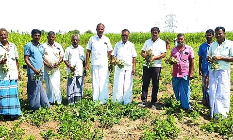 காட்டுப்பன்றிகள் சேதப்படுத்திய பயிர்களுடன் விவசாயிகள்.