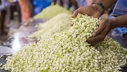 முகூர்த்த நாளையொட்டி மல்லிகை கிலோ ரூ.2,400-க்கு விற்பனை