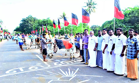 மாட்டு வண்டி பந்தயத்தை தலைவர் முகமது யாசின் கொடி யசைத்து தொடங்கி வைத்தார்.