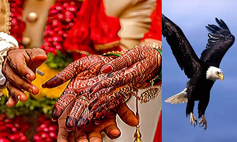 திருமண சடங்கில் கருடன்