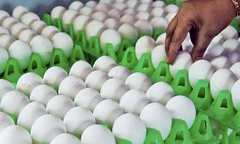 நாமக்கல்லில் முட்டை விலை உயர்வு
