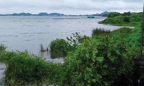 செங்கல்பட்டு கொளவாய் ஏரி சுற்றுலா தலமாக மாறுகிறது