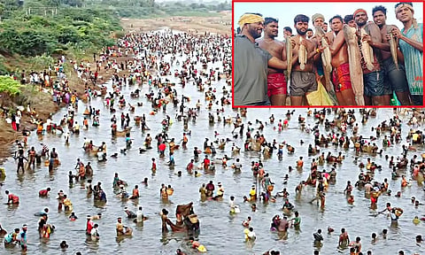 மீன்பிடி திருவிழா: குடும்பம் குடும்பமாக கண்மாயில் இறங்கி போட்டி போட்டு மீன்பிடித்த கிராம மக்கள்