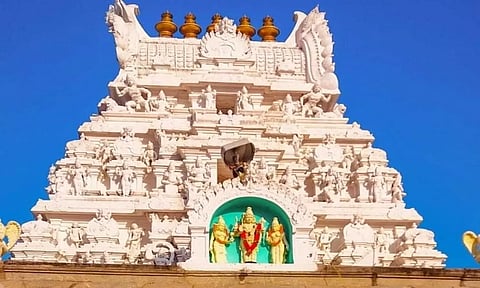 புதையலாக  கிடைத்த  14 சிலைகள்