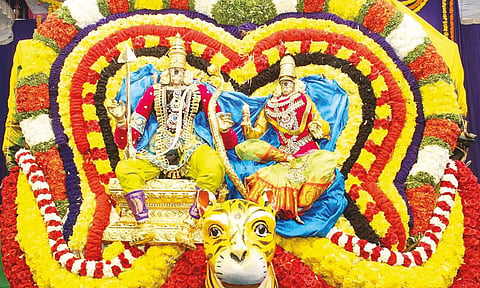 திருப்பதி கபிலேஸ்வரர் கோவிலில் மகாசிவராத்திரி விழா