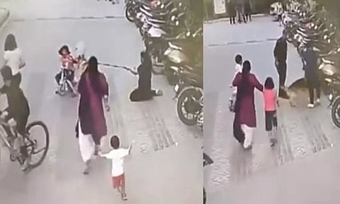 சிறுமியைக் கடித்த ஜெர்மன் ஷெப்பர்டு - வீடியோ வைரல்