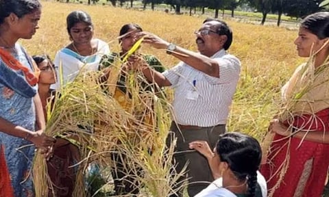 வேளாண், மீன்வள படிப்புகளில் சேர ஜூன் 6-ந்தேதி ஒரே விண்ணப்பம்