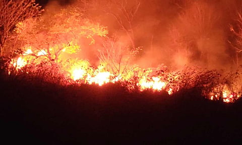 தவளகிரீஸ்வரர் மலையில் பற்றி எரியும் தீ