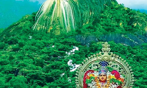 குன்று இருக்கும் இடமெல்லாம் குமரன் என்பதற்கேற்ப விளங்கும் தோரணமலை