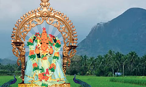 இங்கு முருகனை வணங்கினால் திருச்செந்தூரில் வணங்கிய பலன் கிடைக்கும்