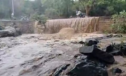 நெல்லை, தென்காசி, டெல்டா மாவட்டங்களில் விடிய விடிய கொட்டித்தீர்த்த  கனமழை
