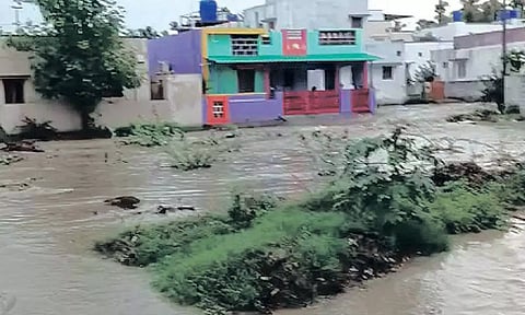 தமிழகத்தில் பல்வேறு மாவட்டங்களில் கோடை மழை கொட்டி தீர்த்தது