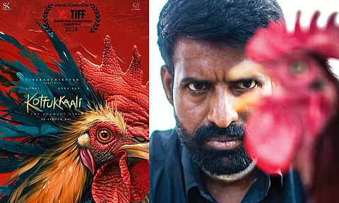 சர்வதேச திரைப்பட விழாவில் சூரியின் 'கொட்டுக்காளி'