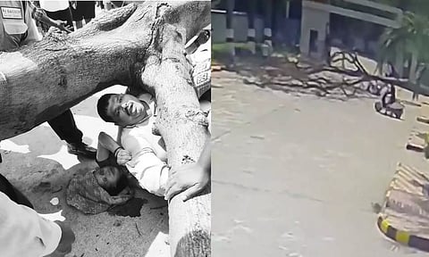பைக்கில் வந்த தம்பதி மீது மரம் முறிந்து விழுந்து விபத்து: சம்பவ இடத்திலேயே கணவர் உயிரிழப்பு