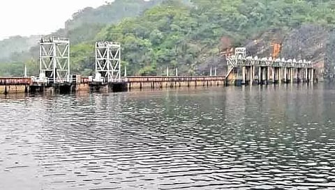 கனமழை: பாபநாசம், சேர்வலாறு அணைகள் நீர்மட்டம் உயர்வு