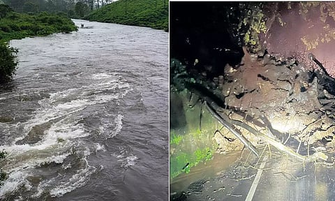 கோவை, நீலகிரியில் பரவலாக மழை