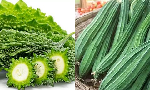 உடல் எடையை குறைக்க... சாப்பிட வேண்டிய உணவுகள்