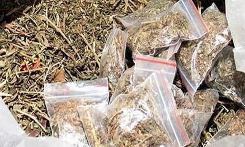 மங்களூரு சிறையில் திடீர் சோதனை: செல்போன்-கஞ்சா பறிமுதல்