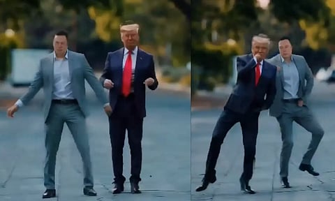 TRUMP -  MUSK