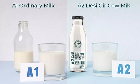 பால் மற்றும் பால் பொருட்களில் ஏ1, ஏ2 குறிப்பிடாதீங்க.. FSSAI அதிரடி உத்தரவு..!
