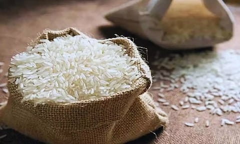 rice