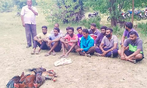 சேவல்களை வைத்து மெகா சூதாட்டம் நடத்திய 13 பேர் கைது