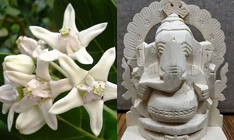 செல்வத்தை அள்ளிக்கொடுக்கும் வெள்ளெருக்கு விநாயகர்