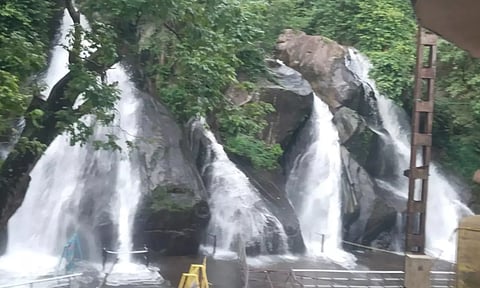 ஐந்தருவியில் இன்று தண்ணீர் ஆர்ப்பரித்து கொட்டிய காட்சி.