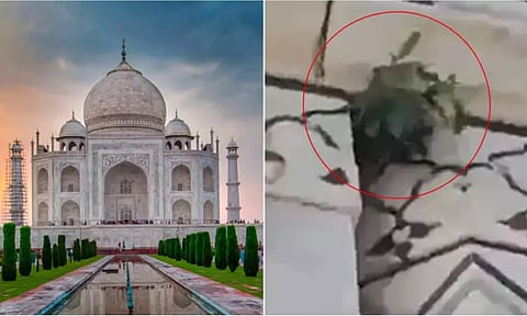 taj mahal