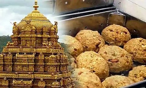 விலங்குகள் கொழுப்பு கலந்த நெய்:  திருப்பதியில் 3 நாட்கள் சிறப்பு யாகம், பரிகார பூஜை