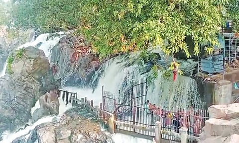 தொடர் மழை: ஒகேனக்கல்லில் நீர்வரத்து 13 ஆயிரம் கனஅடியாக அதிகரிப்பு