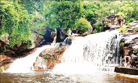திருப்பூரில் பலத்த மழை: அமராவதி அணை-நொய்யல் ஆற்றில் நீர்வரத்து அதிகரிப்பு