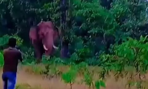 காட்டு யானையுடன் நேருக்குநேர் நின்று செல்பி: வாலிபரை மிதித்து கொன்ற சோகம்
