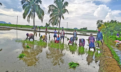 நெல்லை, தென்காசி, தூத்துக்குடியில் விடிய விடிய சாரல் மழை