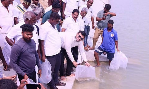 செங்கல்பட்டு ஊராட்சி குளங்களில் 4 லட்சம் நாட்டு இன மீன்கள் வளர்ப்பு