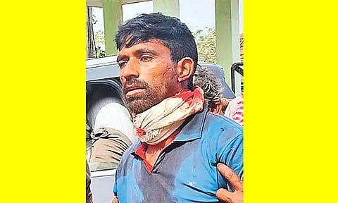 தெலுங்கானாவில் கணவரை காப்பாற்ற புலியை கற்களால் வீரட்டியடித்த மனைவி