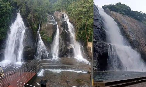 குற்றாலத்தில் நீர்வரத்து சீரான நிலையிலும் 5-வது நாளாக குளிக்க தடை