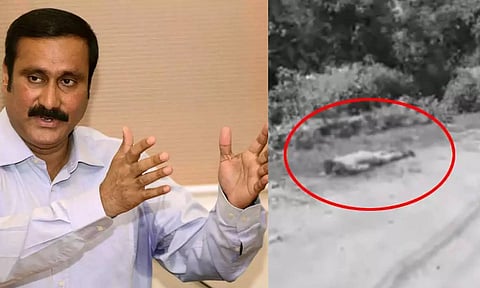 காவல்துறையினர் கண்முன் நடந்த படுகொலை: சட்டம் - ஒழுங்கு எங்கே போய்விட்டது? - அன்புமணி