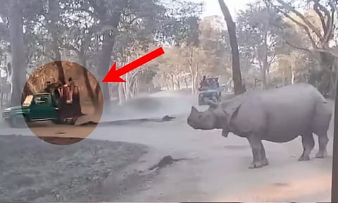 VIDEO: கைக்குழந்தையுடன் ஜீப்பில்  இருந்து விழுந்த தாய்.. ஆக்ரோஷத்துடன் சுற்றி வளைத்த காண்டாமிருகங்கள்