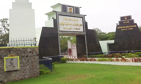 பொங்கல் பண்டிகை- வண்டலூர் உயிரியல் பூங்காவில் பொதுமக்களுக்கு சிறப்பு ஏற்பாடுகள்