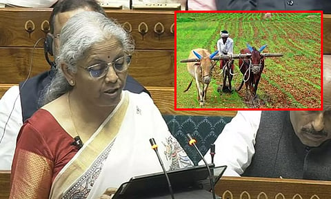 பட்ஜெட் 2025- 26: விவசாயிகள் வாழ்வை மேம்படுத்த பல முக்கிய அறிவிப்புகள் அறிவிப்பு